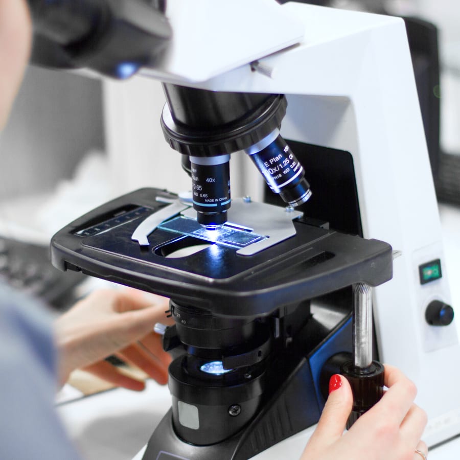 Diagnostics & Lab | Erin Animal Hospital